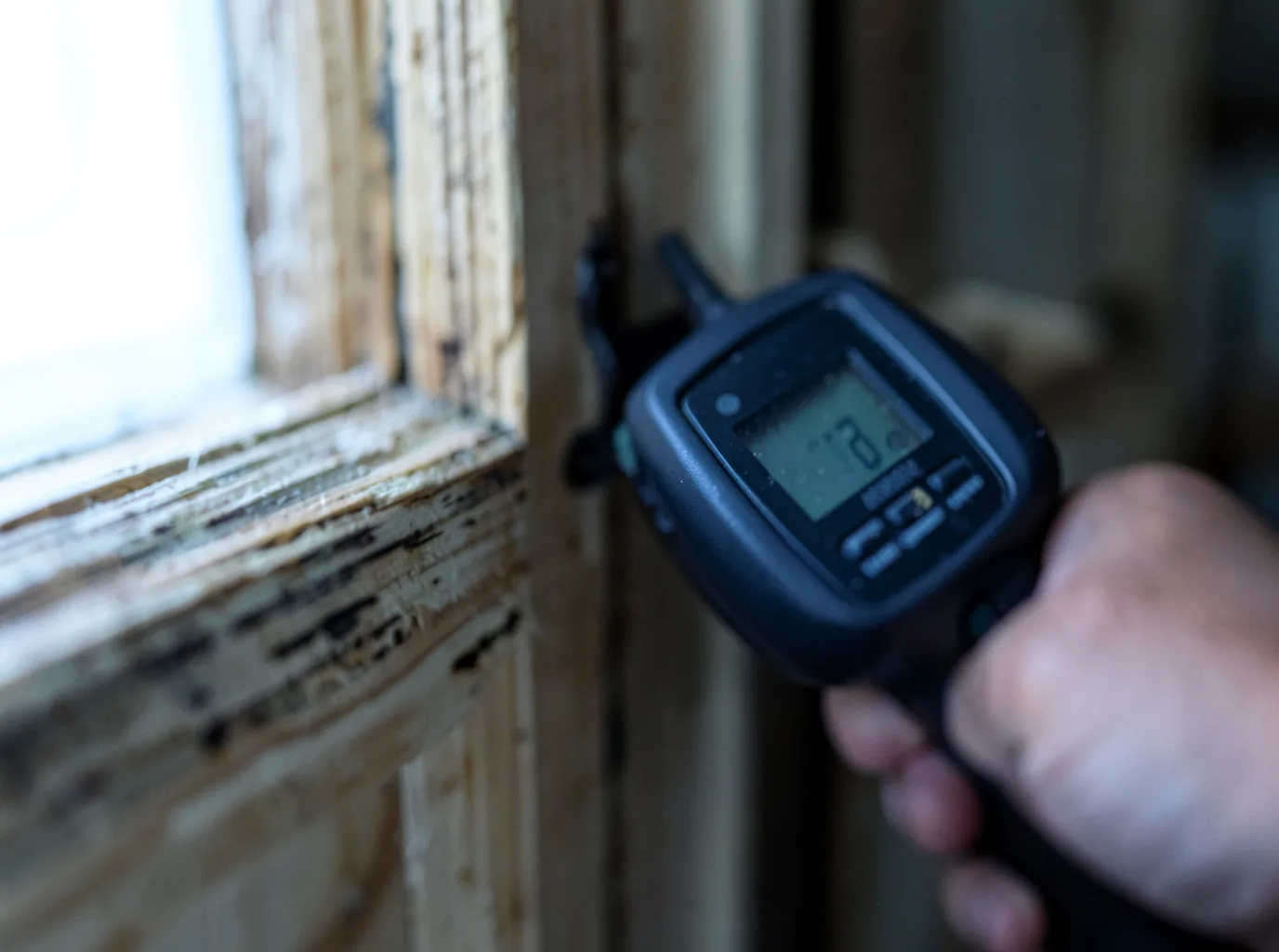 Moisture Inspection And Documentation in Ilfeld, NM
